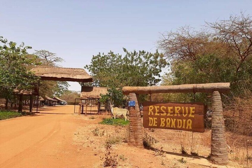 Day Tour Bandia Wildlife Reserve and pink lake