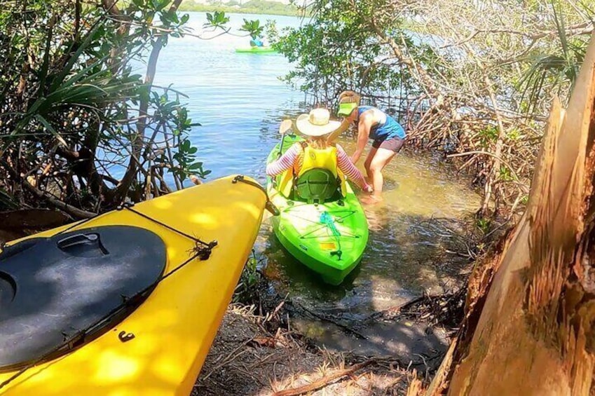 Kayaking the Canals of Venice, FL