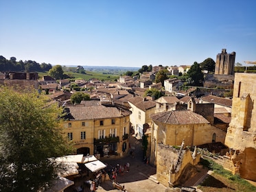 Private Guided St Emilion Full Day Wine Tour from Bordeaux