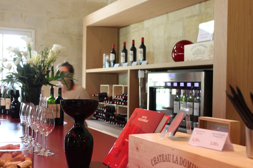 Guided Saint Emilion Full Day Wine Tour from Bordeaux 