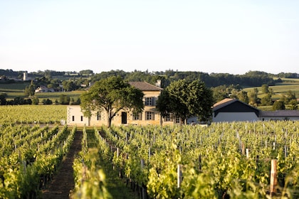 Excursión vinícola privada de medio día a Saint Emilion desde Burdeos