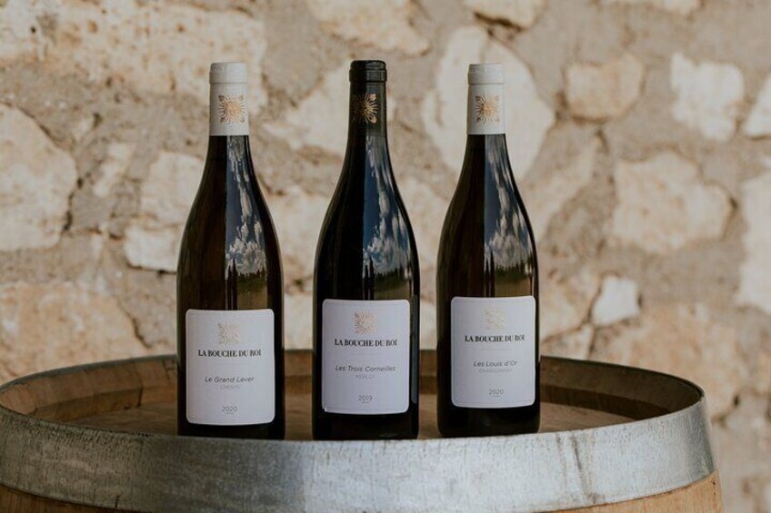 Vineyard tour and wine tasting in Davron