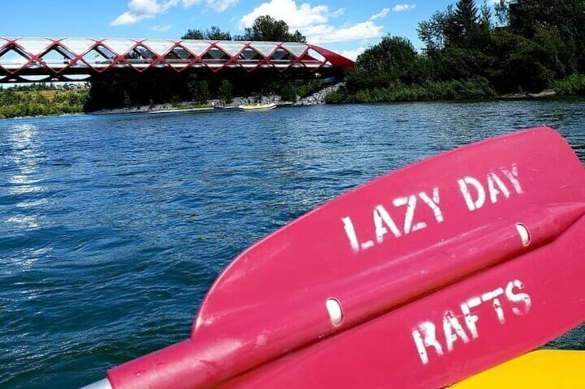 #GetYourLazyOn