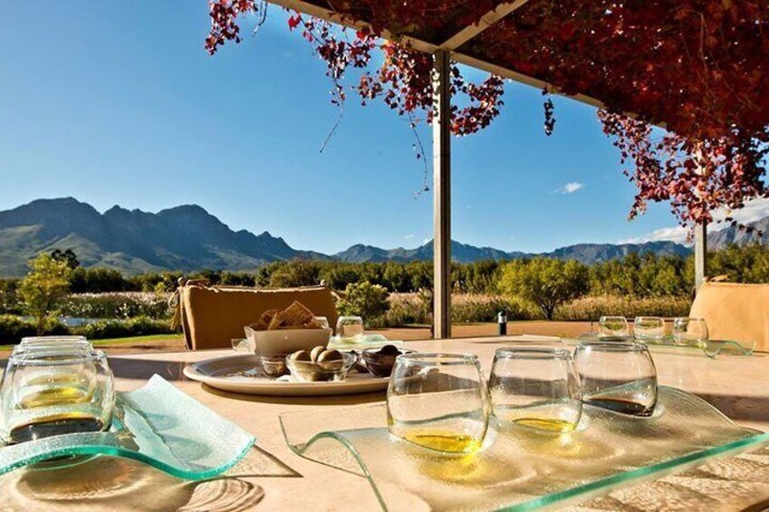 Private tour of the Cape wine regions with wine tasting