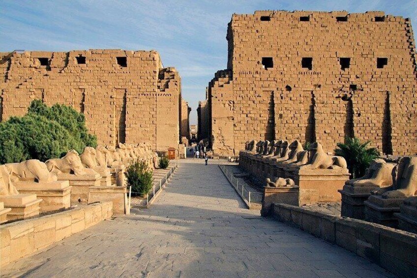 Day trip to Luxor: Balloon & West and East &Felucca ride& Meals From Hurghada