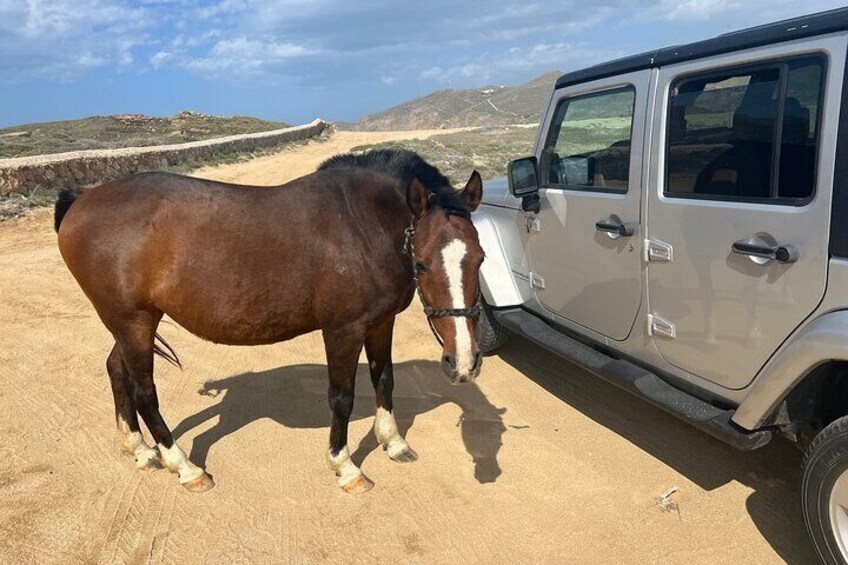 Private Mykonos Escape Tour