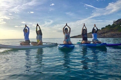 SUP Yoga in Koh Samui