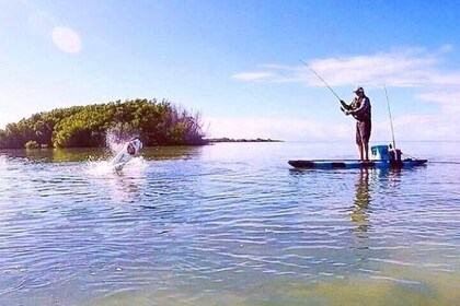 4-Hour Rental Premium Motorised Fishing Kayak