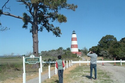All Day Sapelo Island Tour. See beaches, lighthouse, Indian Shell Ring