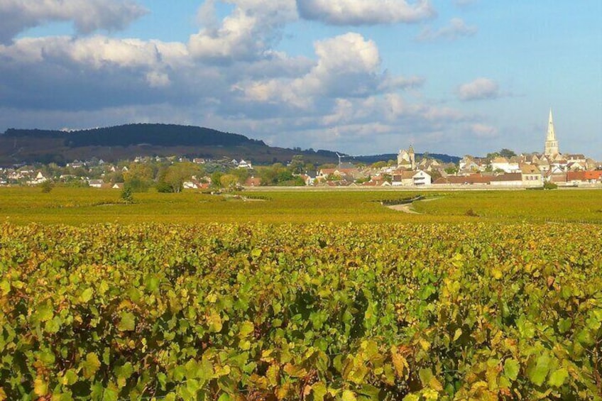 Private Guided Sidecar Tour in Burgundy from Meursault