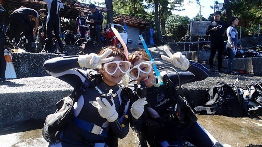 I will dive in the sea from now on! !