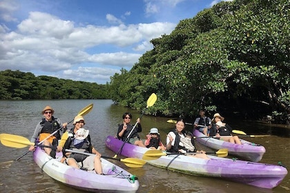 Adventure on Ishigaki Island with a mangrove canoe こ う Let's go see the man...