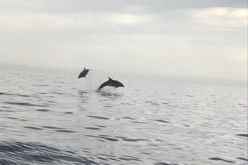 Off Cape Béar