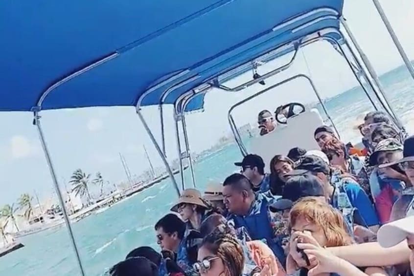 Excursion to Jhony Cay, Aquarium, Bay Tour, Mangroves and Manta rays.