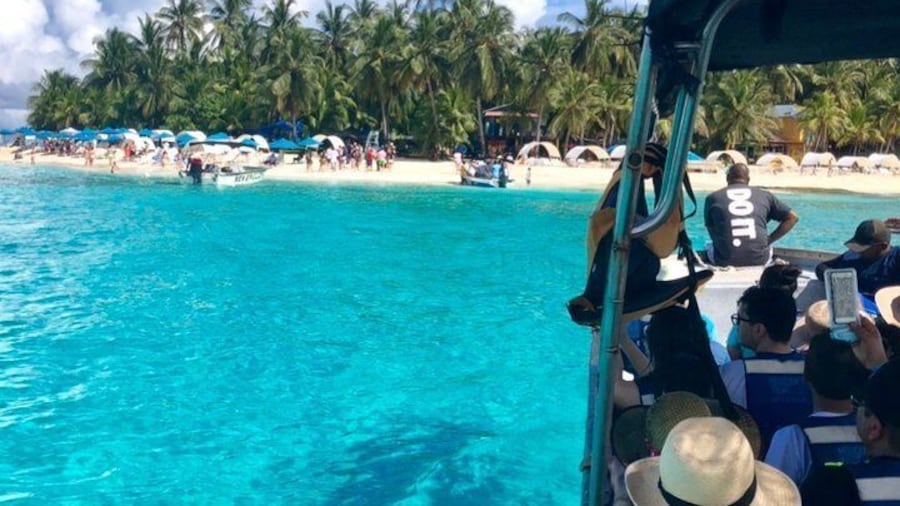 Excursion to Jhony Cay, Aquarium, Bay Tour and Mangroves.