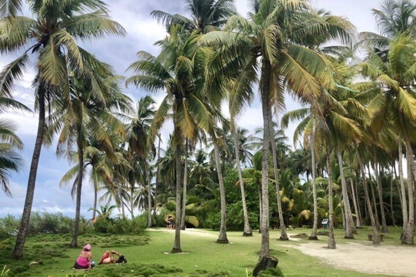 Excursion to Jhony Cay, Aquarium, Bay Tour, Mangroves and Manta rays.