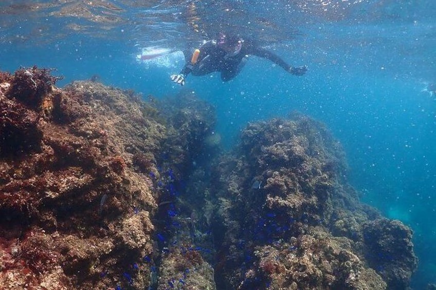 Sea terrain made by lava!