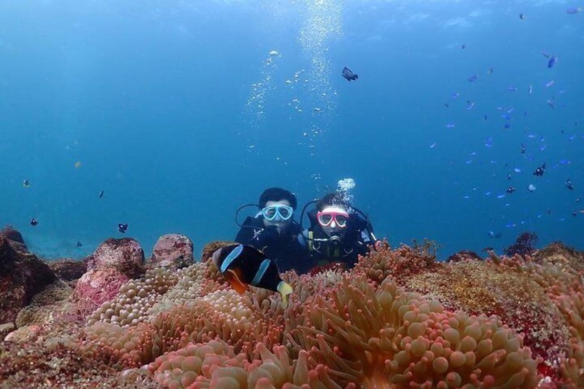 The couple plan is a commemorative photo with two people