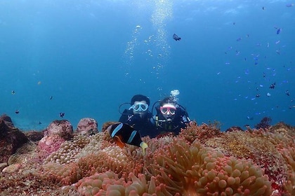 Scuba diving & snorkelling