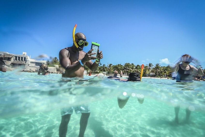 Whale Shark Adventure Tour 