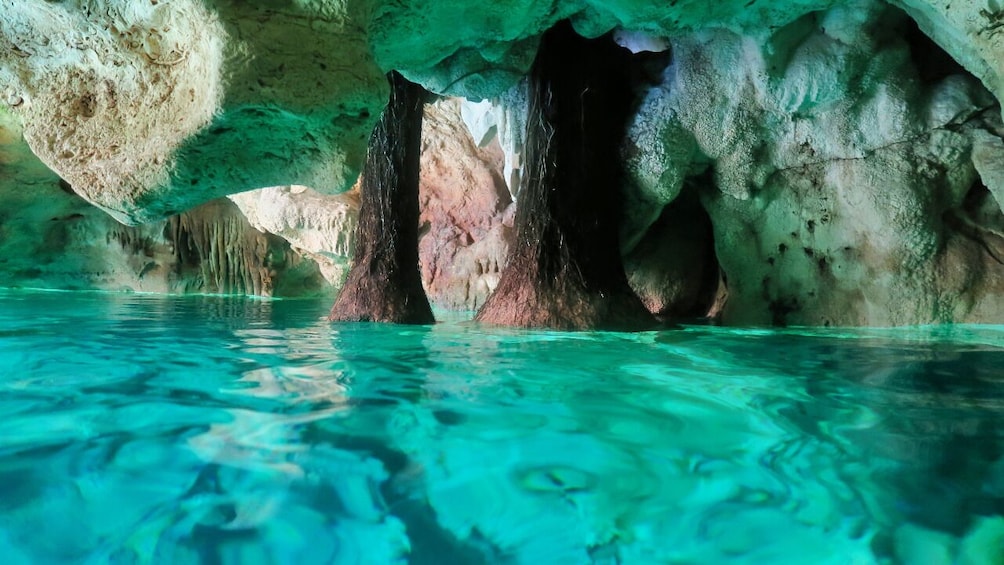 Mayan Cenotes Experience with Mayan Ruins or Local Community