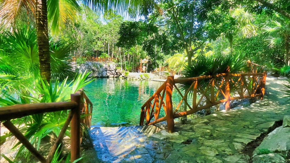 Mayan Cenotes Experience with Mayan Ruins or Local Community