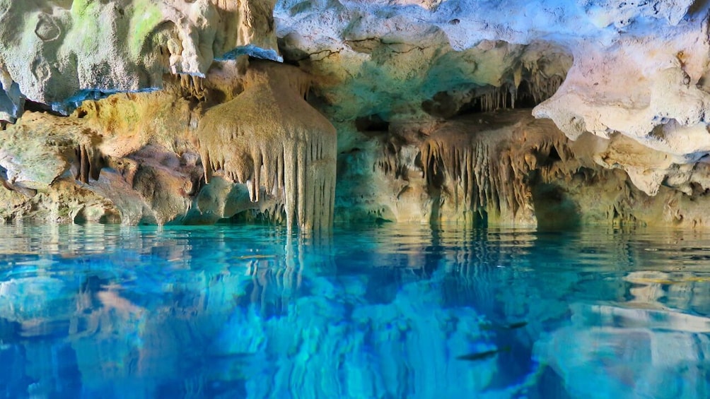 Mayan Cenotes Experience with Mayan Ruins or Local Community