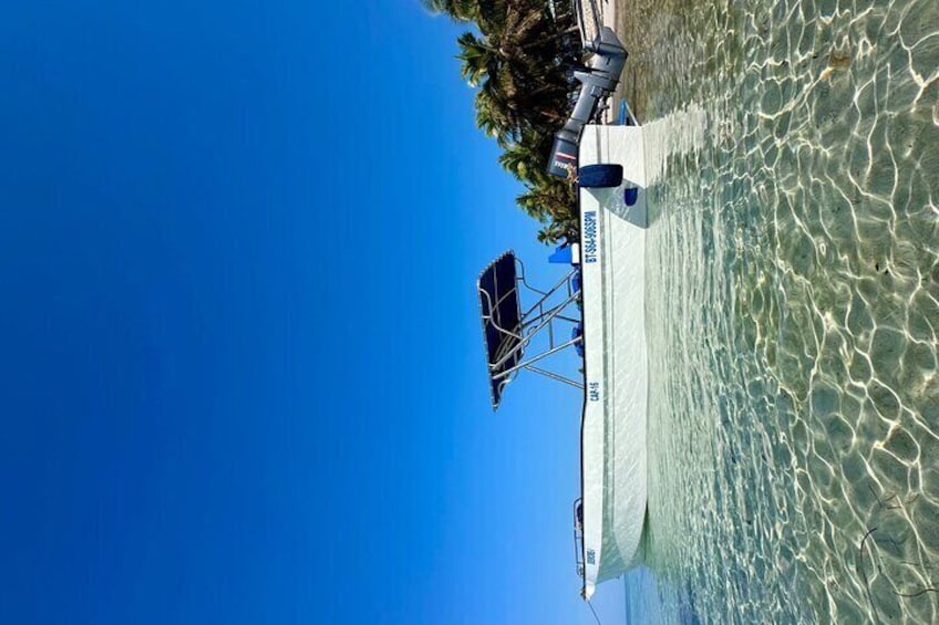 Small Group: Saona Island Full Day Tour