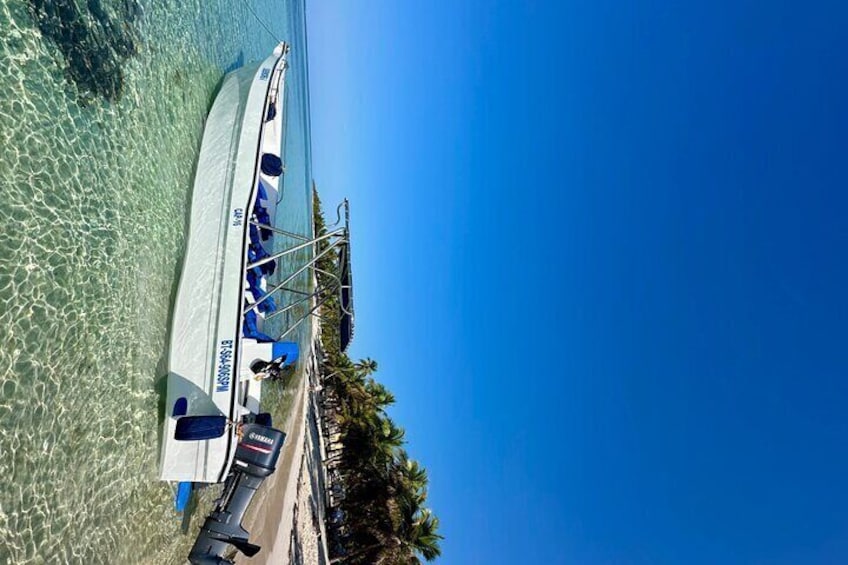Small Group: Saona Island Full Day Tour