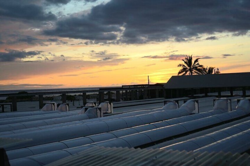 Hawaiian Salt Farm Tour