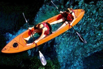 Bioluminescent Clear Bottom Kayak or Paddleboard Sit-On-Top Kayak Hybrid To...