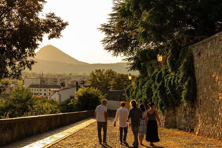 Small Group Tour to the Walled City of Monselice