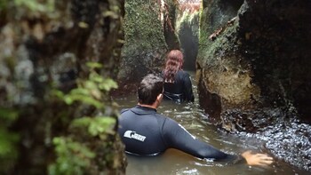 Tutukau Gorge Jet Boat Ride with the Squeeze Waterfall
