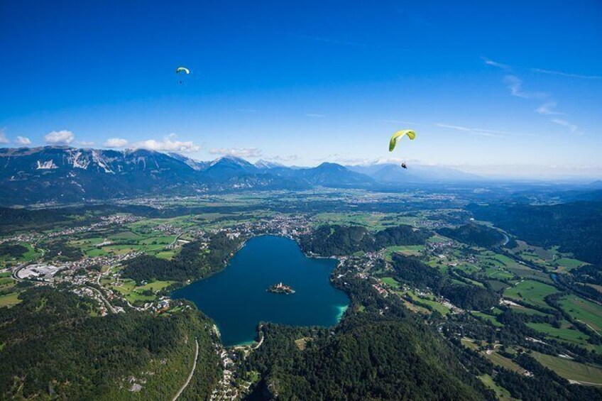 Two paragliders flying above Lake Bled