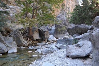 Samaria Gorge Hiking Tour from Chania with Professional Guide
