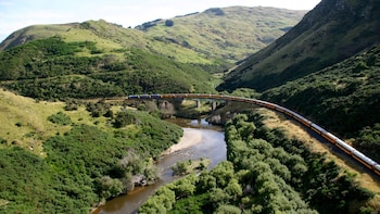 Shore Excursion: Taieri Gorge Railway & Otago Peninsula Tour