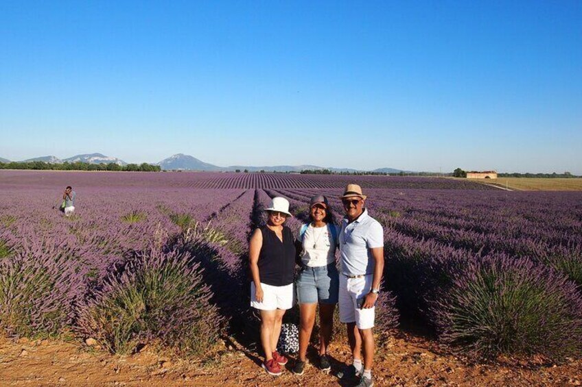 Lavender Fields Tour in Valensole from Marseille