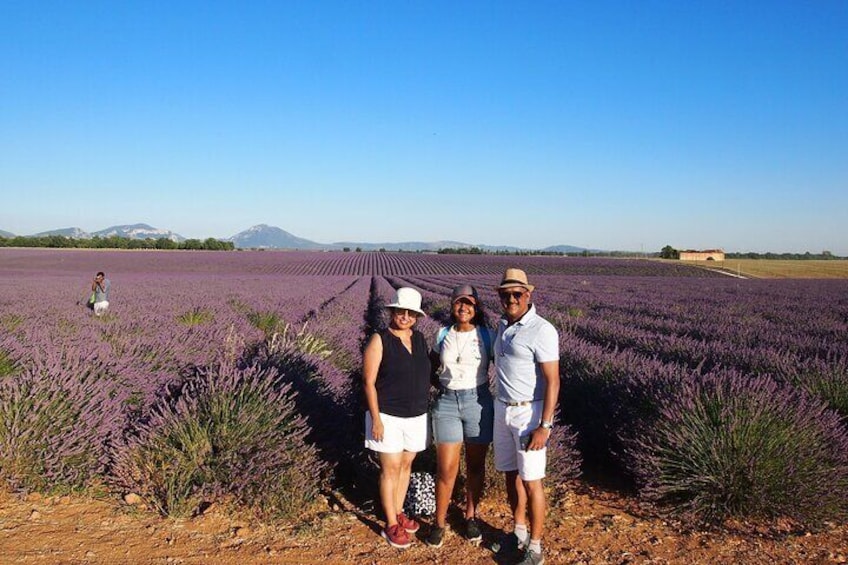 Lavender Fields Tour in Valensole from Marseille