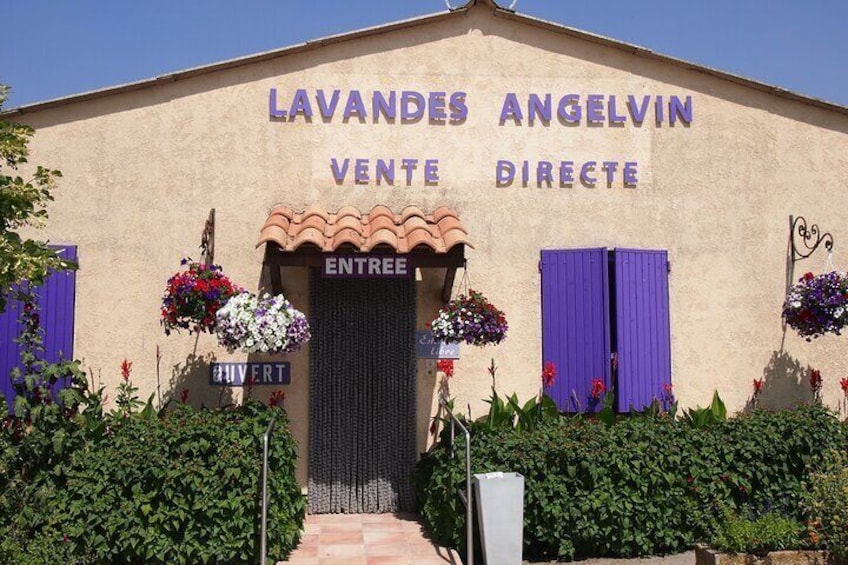 Lavender Fields Tour in Valensole from Marseille