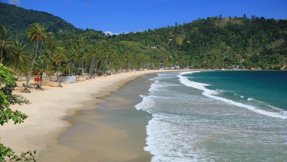 waves washing the beach sand in Trinidad and Tobago