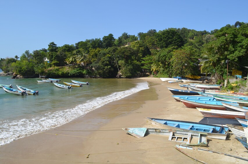 Day Trip to Las Cuevas Beach