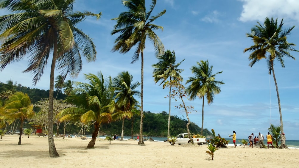 Beach of Trinidad and Tobago