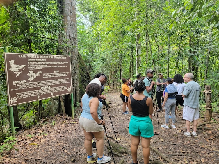 Asa Wright Nature Centre Experience