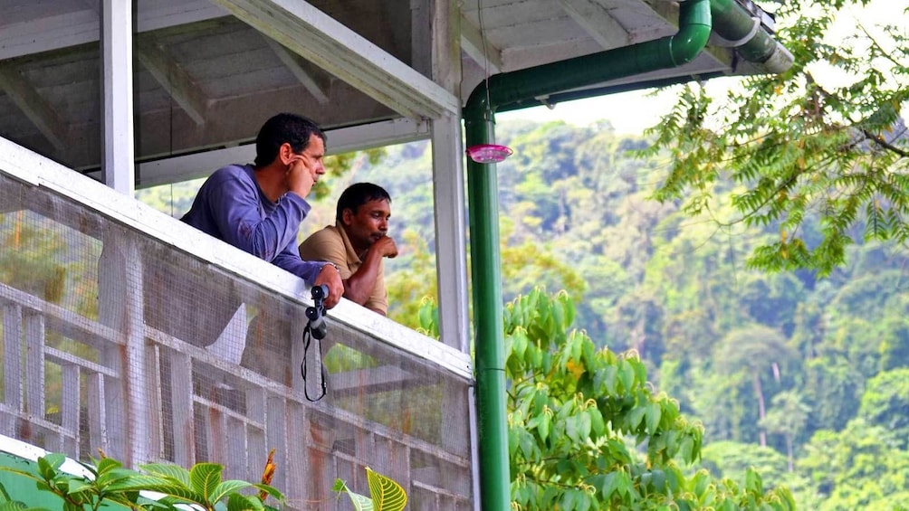 men looking for wildlife from the observation porch in Trinidad and Tobago