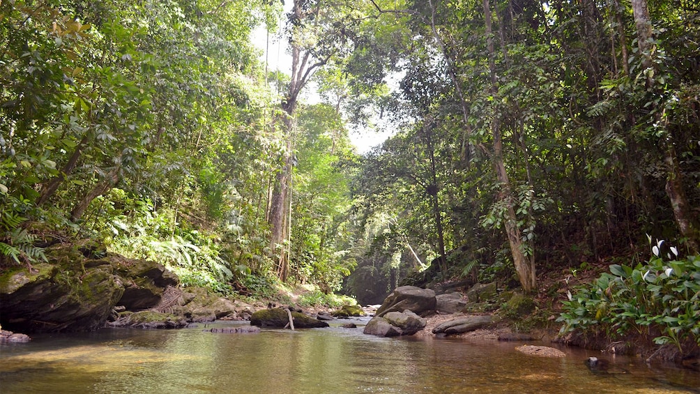 Scenic hike in Trinidad and Tobago