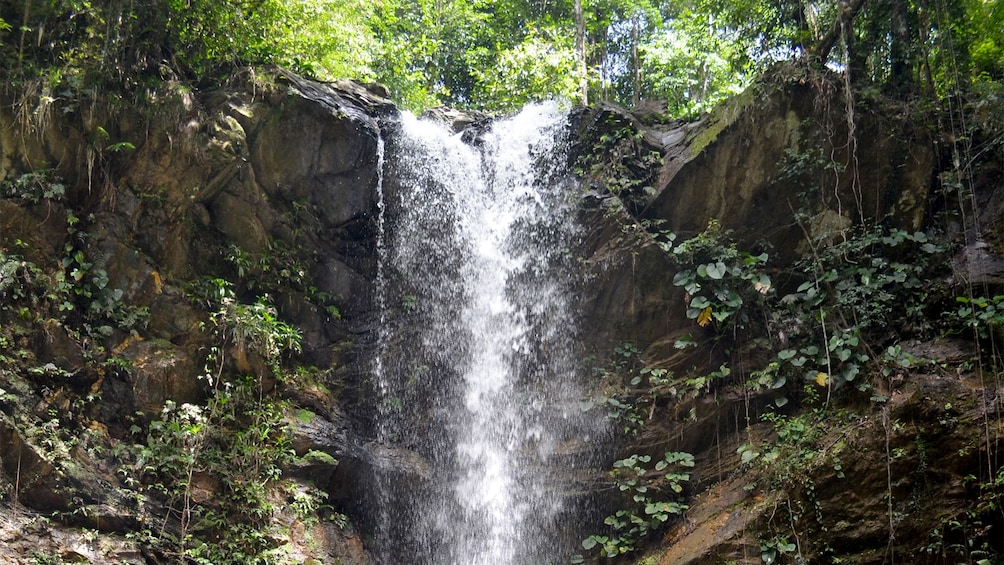 Waterfall during hike in Trinidad