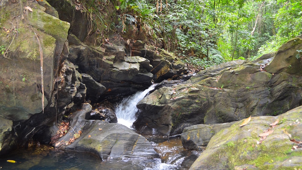 Waterfalls in Trinidad and Tobago