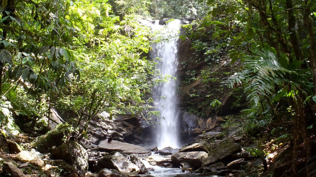 Waterfall in Trinidad and Tobago