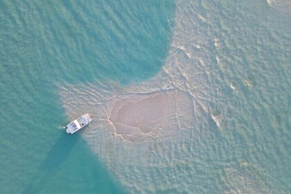 Group Reef, Beach and Sandbar Tour from Providenciales