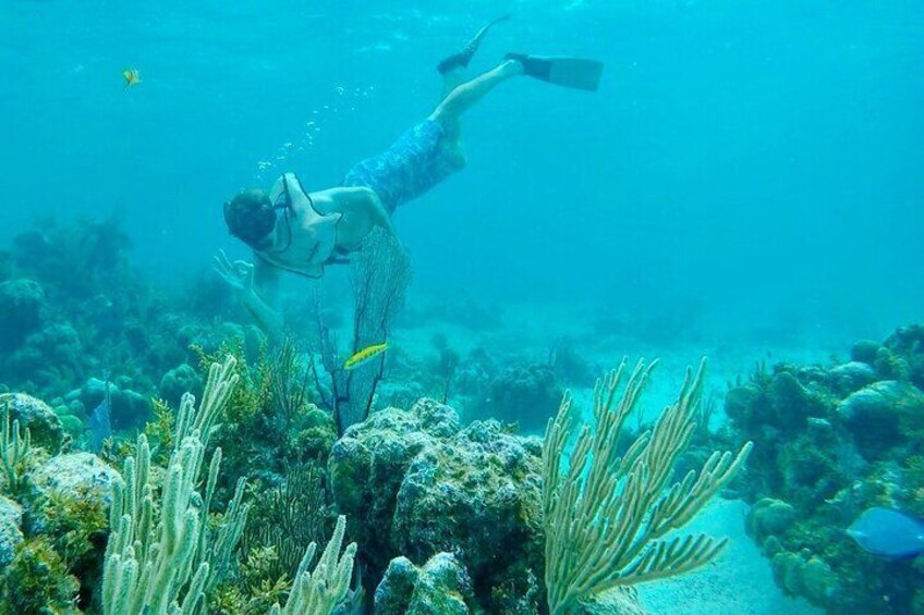 4-Hour Power Catamaran 3 Stop Group Tour from Providenciales
